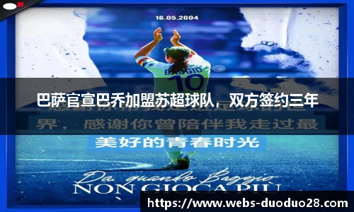 多多28