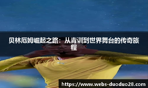 多多28